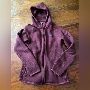 Patagonia Better Sweater Fleece Hoodie